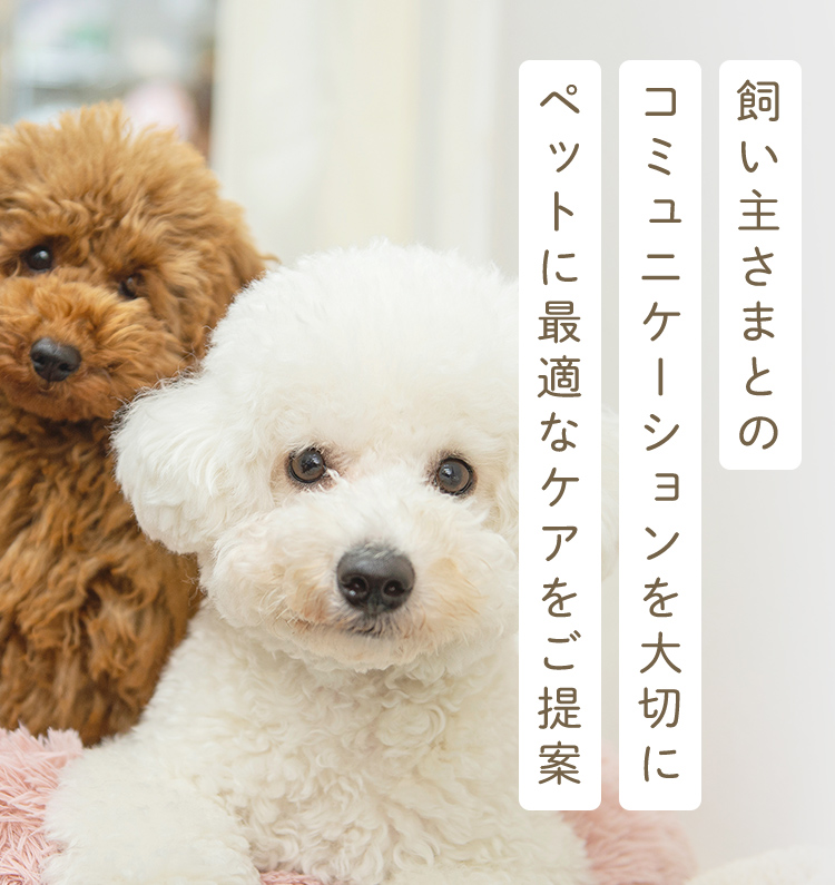 DogAmigo 平井店